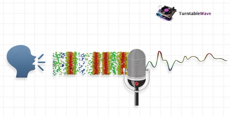 an image showing artist sound waves are passed through mic before recording