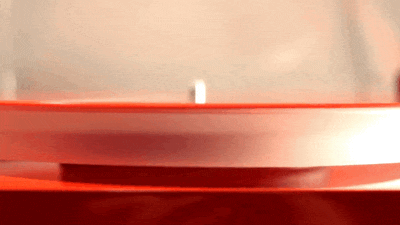an gif showing condition before using record clamp