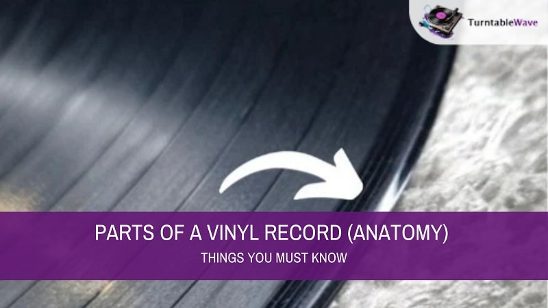 Parts of a Vinyl Record (Anatomy) – Things You Must Know